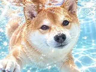 AIでアクティブに