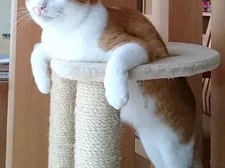 1歳10ヶ月のぼく