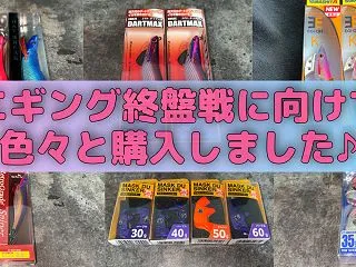【散財】2026年エギング終盤戦に向けて…