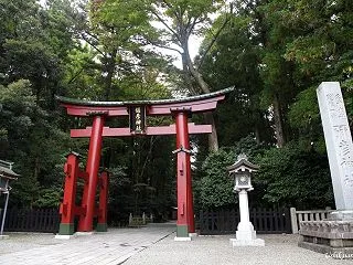 彌彦神社 境内