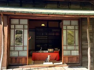 言葉にできない価値をどう伝えるか【ナラテ…