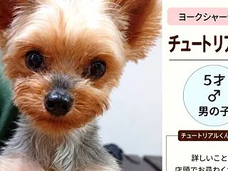 新メンバーご紹介です