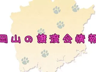 岡山の譲渡会情報