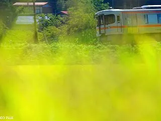 稲穂の彩りをゆく（岐阜県 高山市）