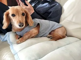 おはようございます
