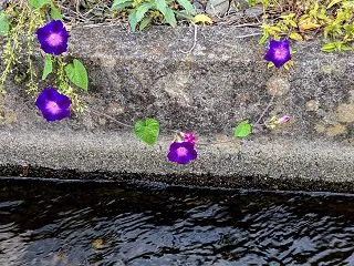 今日も晴れ