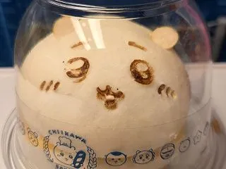 食べ放題はがっつり？