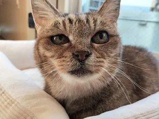ママちゃんにお願いがあるよ