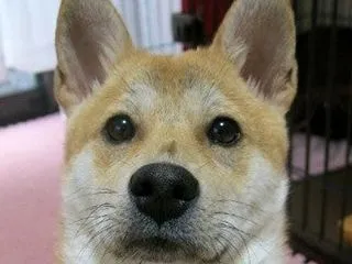 言い続けてきた言葉。これからも。