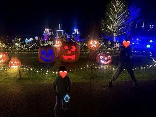 2026年【森林公園】森のハロウィンナイ…