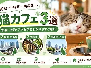 【大阪市北区】猫カフェ3選｜梅田・中崎町…