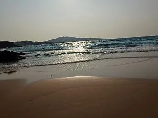 ネタなし
