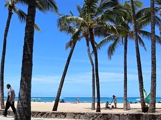 Hawaii 2026 ⑥ アラモアナか…