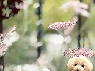 がんばります...