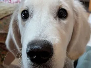 私の敵は私です