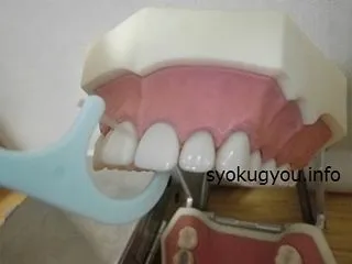 【保存版】歯科衛生士が教える！ 歯磨きの…