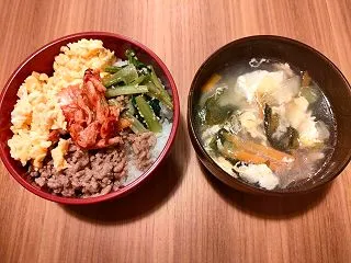 健康診断 休肝日の憂鬱 三色丼