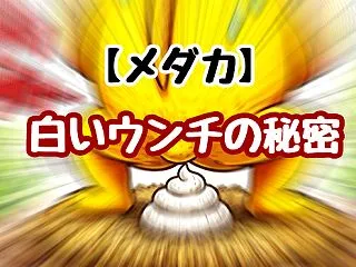 【メダカ】白いウンチの秘密