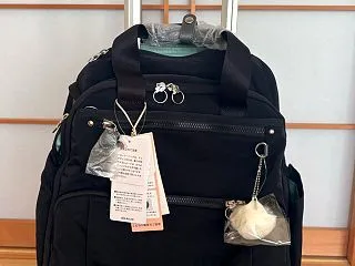 機内持ち込みΟKなキャリーバックを購入