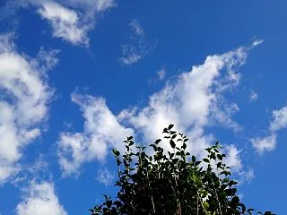 天気良いぞ