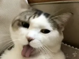 夢への軌跡_まだまだイマイチです。