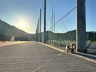 体育の日の提案