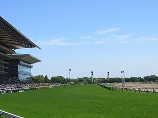 10/17（土）最終レース