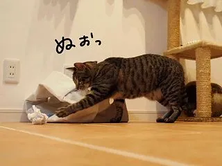 ゴミで遊ぼう。