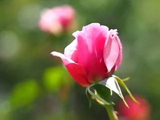 「あんなに頑張ったのに…」60代女性の心…