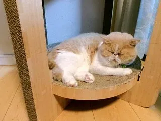 両極端なふたり。
