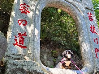 仏舎利塔から苦抜け門＆稲荷山コースの続・…