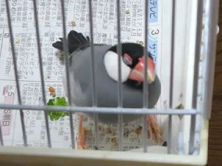 あー 怖かった…