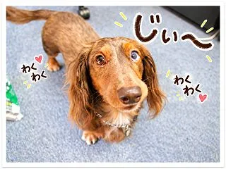 2009年は
