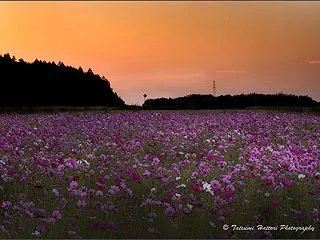今朝の朝活・・・