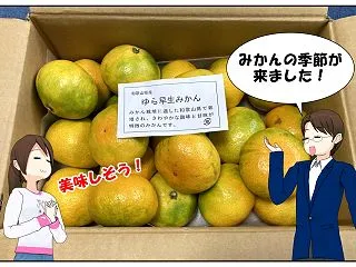 今週の株主優待は小林製薬等！動画は２０２…