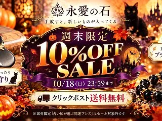 【週末限定10%OFF】ハロウィンに黒猫…