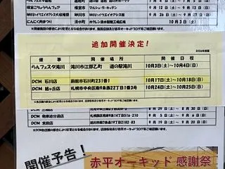 本日＆明日開催！DCM石川店にて胡蝶蘭フ…