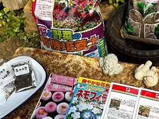 ＊簡単鉢に直播き 秋の種まき ＊秋バラの…