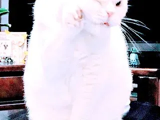 銀座で豚の生姜焼きを食べる❓🙀💦