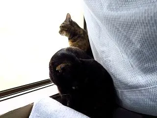 久しぶりの解放（´･∀･`）