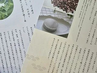 福岡旅：太宰府政庁跡....紫草ゆかりの…