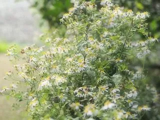 通路の脇には