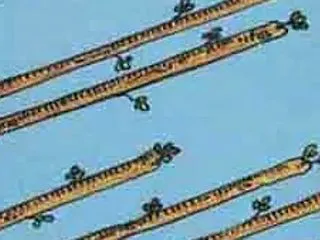 職場で理不尽な目に合って悩んでいる方へ。
