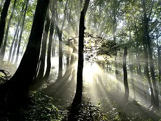 ふる里の朝景色