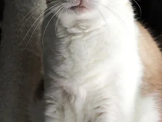 やらかしてくれる日曜日。