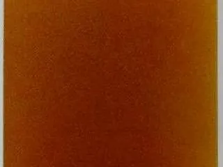 師 匠 の 眼