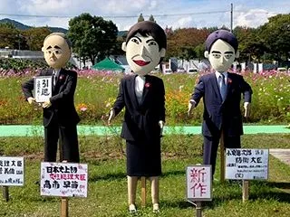 京都丹波・亀岡「夢コスモス園」へ満開の秋…