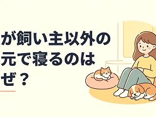 犬が飼い主以外の足元で寝るのはなぜ？