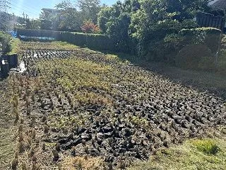 秋の横溝屋敷の光景