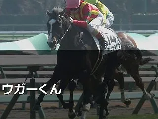 ショウガーくん